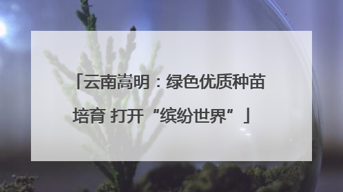 云南嵩明：绿色优质种苗培育 打开“缤纷世界”