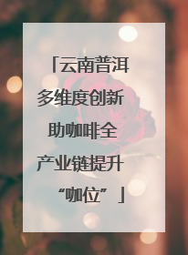 云南普洱多维度创新 助咖啡全产业链提升“咖位”