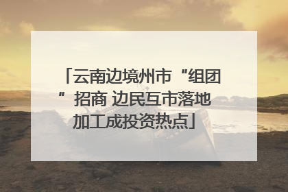 云南边境州市“组团”招商 边民互市落地加工成投资热点