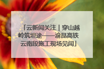 云新闻关注｜穿山越岭筑坦途——渝昆高铁云南段施工现场见闻
