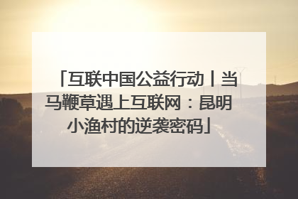 互联中国公益行动丨当马鞭草遇上互联网：昆明小渔村的逆袭密码