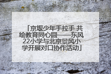 京堰少年手拉手 共绘教育同心圆——东风22小学与北京景风小学开展对口协作活动