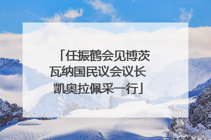 任振鹤会见博茨瓦纳国民议会议长凯奥拉佩采一行