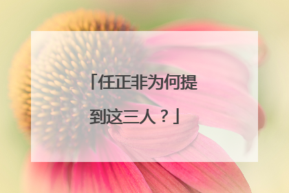 任正非为何提到这三人？