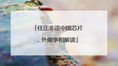 任正非谈中国芯片，外媒争相解读