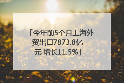 今年前5个月上海外贸出口7873.8亿元 增长11.5%