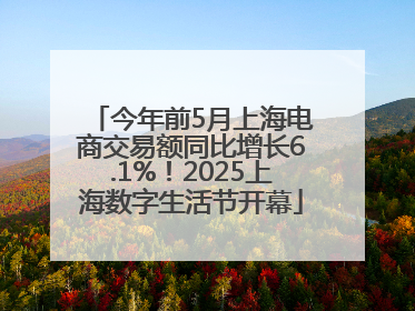 今年前5月上海电商交易额同比增长6.1%！2025上海数字生活节开幕