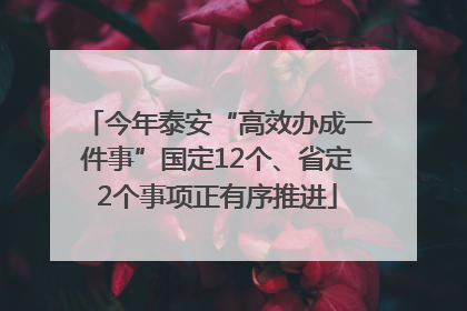 今年泰安“高效办成一件事”国定12个、省定2个事项正有序推进
