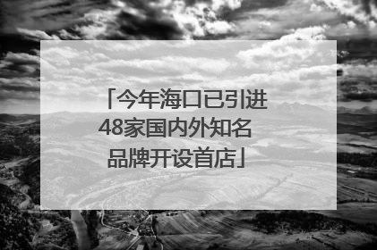 今年海口已引进48家国内外知名品牌开设首店