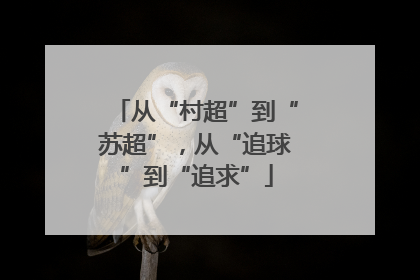 从“村超”到“苏超”，从“追球”到“追求”