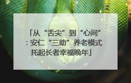 从“舌尖”到“心间”：安仁“三助”养老模式托起长者幸福晚年