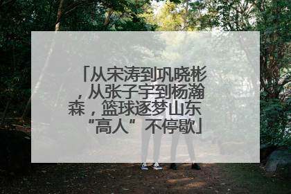 从宋涛到巩晓彬，从张子宇到杨瀚森，篮球逐梦山东“高人”不停歇