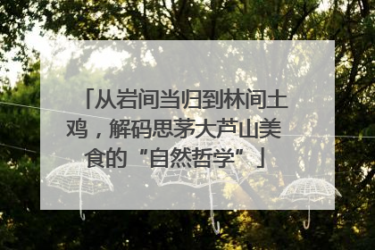从岩间当归到林间土鸡，解码思茅大芦山美食的“自然哲学”
