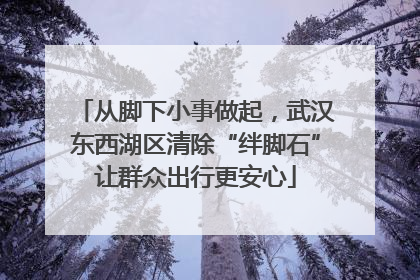 从脚下小事做起，武汉东西湖区清除“绊脚石”让群众出行更安心