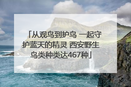 从观鸟到护鸟 一起守护蓝天的精灵 西安野生鸟类种类达467种