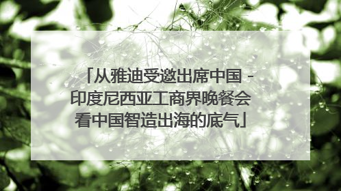 从雅迪受邀出席中国－印度尼西亚工商界晚餐会看中国智造出海的底气