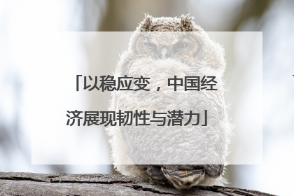 以稳应变，中国经济展现韧性与潜力