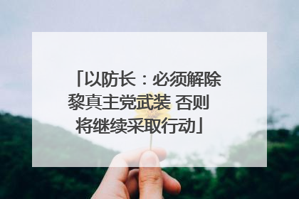 以防长：必须解除黎真主党武装 否则将继续采取行动