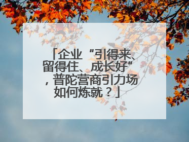 企业“引得来、留得住、成长好”，普陀营商引力场如何炼就？