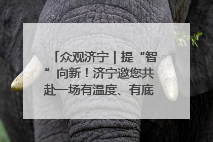 众观济宁｜提“智”向新！济宁邀您共赴一场有温度、有底气的“智造”之约