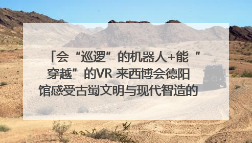 会“巡逻”的机器人+能“穿越”的VR 来西博会德阳馆感受古蜀文明与现代智造的时空对话｜西博视界