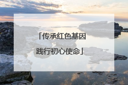 传承红色基因 践行初心使命
