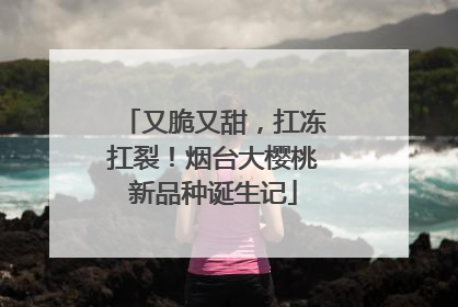 又脆又甜，扛冻扛裂！烟台大樱桃新品种诞生记