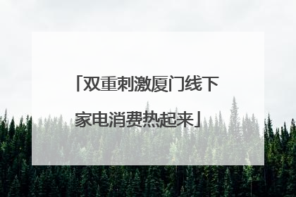 双重刺激厦门线下家电消费热起来