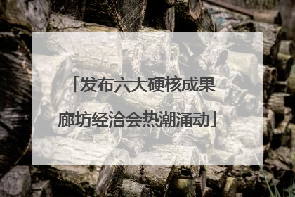 发布六大硬核成果 廊坊经洽会热潮涌动