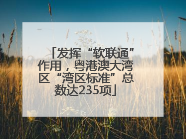 发挥“软联通”作用，粤港澳大湾区“湾区标准”总数达235项