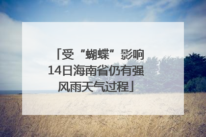受“蝴蝶”影响 14日海南省仍有强风雨天气过程