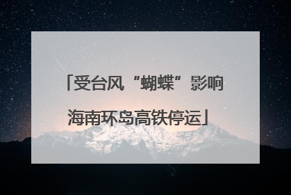 受台风“蝴蝶”影响 海南环岛高铁停运