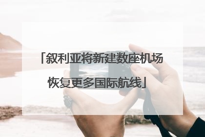 叙利亚将新建数座机场 恢复更多国际航线
