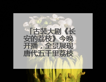 古装大剧《长安的荔枝》今晚开播，全景展现唐代五千里荔枝转运传奇