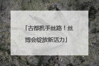 古都携手丝路！丝博会绽放新活力