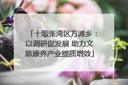 十堰张湾区方滩乡：以调研促发展 助力文旅康养产业提质增效