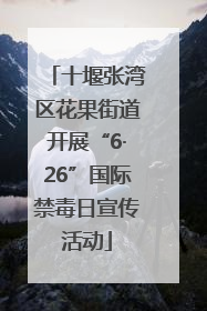 十堰张湾区花果街道开展“6·26”国际禁毒日宣传活动