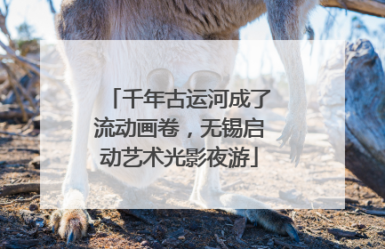 千年古运河成了流动画卷，无锡启动艺术光影夜游
