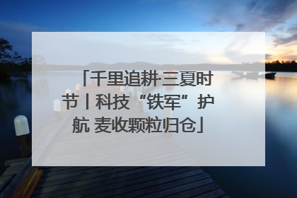 千里追耕·三夏时节丨科技“铁军”护航 麦收颗粒归仓