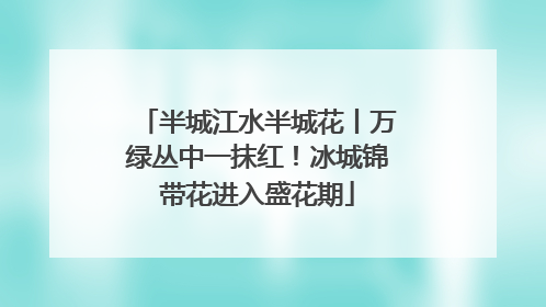 半城江水半城花丨万绿丛中一抹红！冰城锦带花进入盛花期