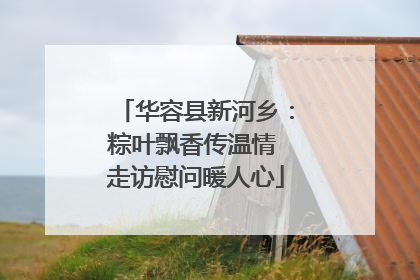 华容县新河乡：粽叶飘香传温情 走访慰问暖人心