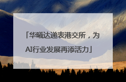 华曦达递表港交所，为AI行业发展再添活力