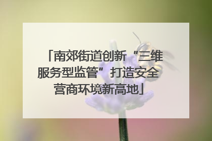 南郊街道创新“三维服务型监管”打造安全营商环境新高地