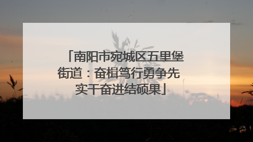 南阳市宛城区五里堡街道：奋楫笃行勇争先 实干奋进结硕果