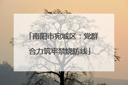 南阳市宛城区：党群合力筑牢禁烧防线