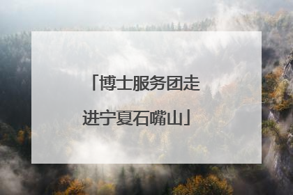 博士服务团走进宁夏石嘴山
