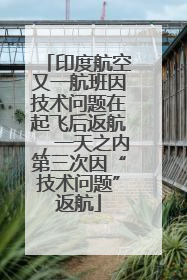 印度航空又一航班因技术问题在起飞后返航，一天之内第三次因“技术问题”返航