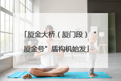 厦金大桥（厦门段）“厦金号”盾构机始发