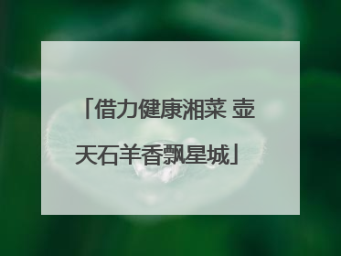 借力健康湘菜 壶天石羊香飘星城