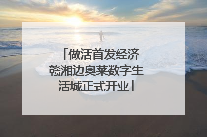 做活首发经济 赣湘边奥莱数字生活城正式开业